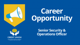 Senior Security & Operations Officer
